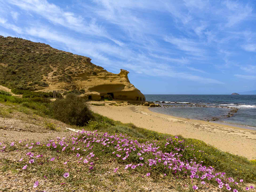  CUATRO CALAS PROTECTED NATURAL LANDSCAPE