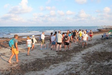 August 9 free guided walk to see the posidonia seagrass on the Beach of el moj�n in San Pedro del pinatar