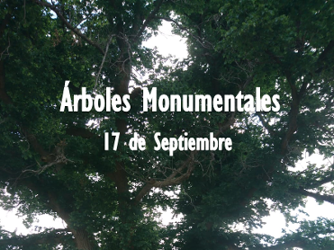 �rboles monumentales de Mula