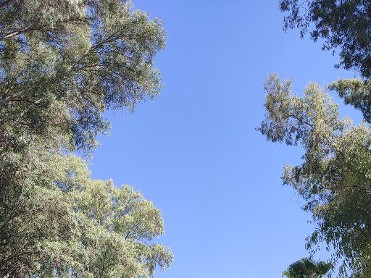 PARQUE MUNICIPAL