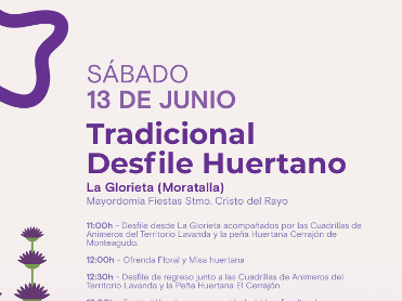 Festividad d�a del Stmo. Cristo del Rayo