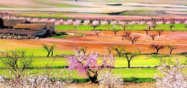 RUTA A PIE INMERSOS EN LA FLORACI�N FUENTE LIBRILLA A LAS 10H.