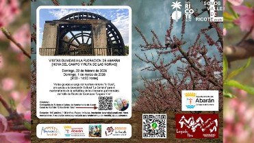 VISITA GUIADA FLORACI�NDE ABAR�N (HOYA DEL CAMPO Y RUTA DE LAS NORIAS)