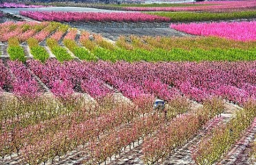 DESCUBRE LA VA VERDE DE LA FLORACIN DE CIEZA EN BICICLETA