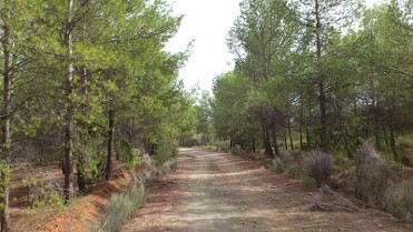 SENDERO LAS MARAVILLAS