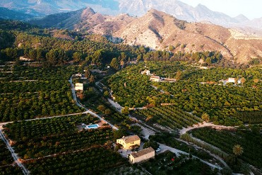 FINCA CAMPILLO. CASA JOSELITO