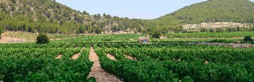 VALLE DEL ACENICHE