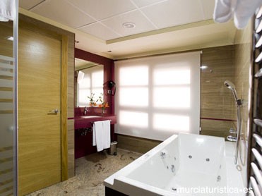 Baño suite