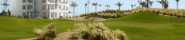SAURINES  GOLF