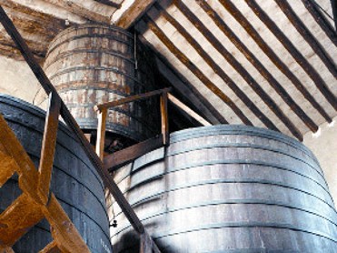 Rutas del Vino. Alce�o