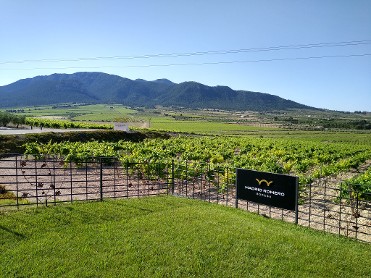 Gourmet wine-experience 