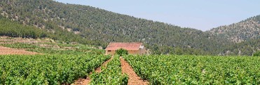 VALLE DEL ACENICHE