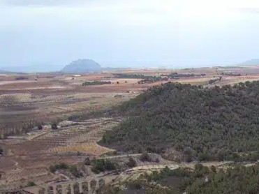 SENDA DEL ALBACAR