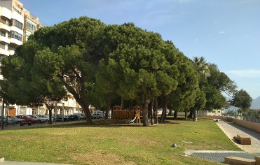 PASEO DE LA MURALLA DEL MAR