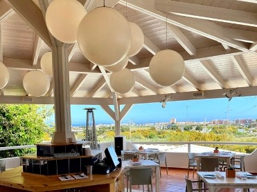 AJO Y AGUA 