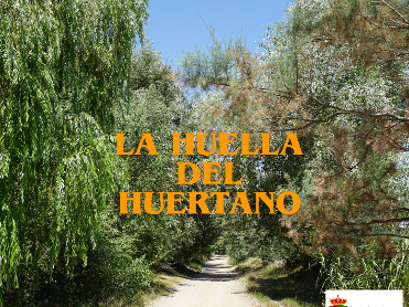 HISTORICAL VISIT- TOUR IN SPANISH