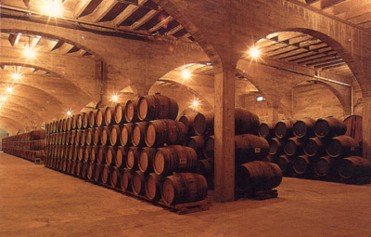 Rutas del Vino. BSI-Bodegas San Isidro