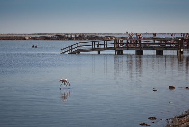 BA�OS DE LODO