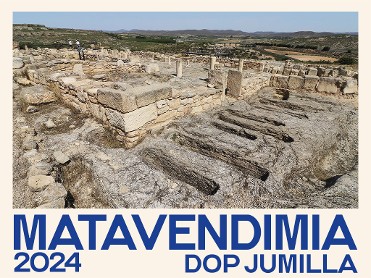 VISITA TOLMO DE MINATEDA MATAVENDIMIA JUMILLA - 10.30H