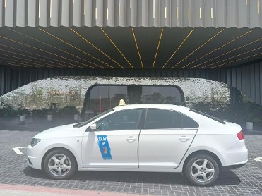 Pedro Jos� Mu�oz D�az - Taxi Capi
