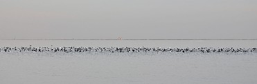 ESPACIOS ABIERTOS E ISLAS DEL MAR MENOR