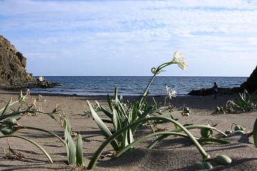 PLAYA BA�O DE LAS MUJERES