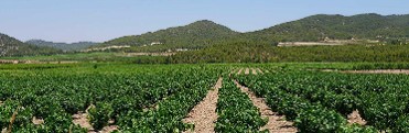 VALLE DEL ACENICHE