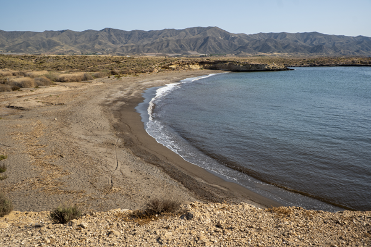 PLAYA DEL POCICO DEL ANIMAL