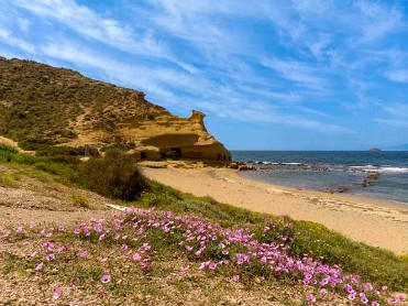 CUATRO CALAS