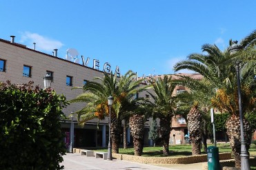 Centro Comercial Vega Plaza
