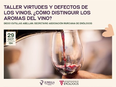 Cata taller: virtudes y defectos de los vinos, �c�mo distinguir los aromas del vino? - 13h
