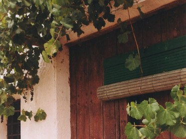 BODEGAS Y VI�EDOS EVINE