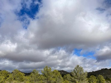 ESPECIAL PARAJES NATURALES. ITINERARIO POR LA SENDA DE LOS JINETES 