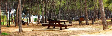PARAJE DE LA RAFA
