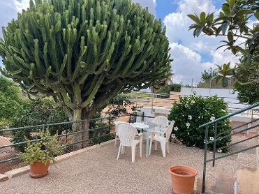 Eco Espacio Camale�n Verde