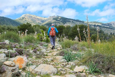 Programa de primavera: rutas de senderismo interpretado