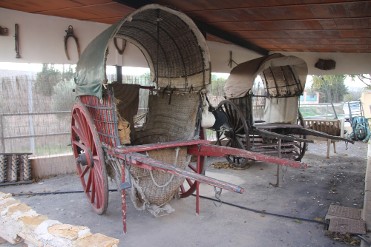 MUSEO ETNOGRFICO DEL CAMPO DE CARTAGENA