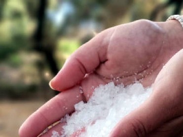 MARCH 23 FREE GUIDED STROLL IN THE SALT FLATS OF SAN PEDRO DEL PINATAR