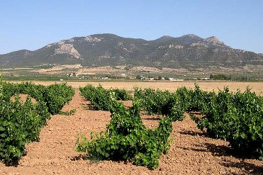 SIERRA DEL CARCHE