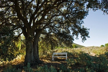 CENTRO DE INTERPRETACI�N DE LA NATURALEZA