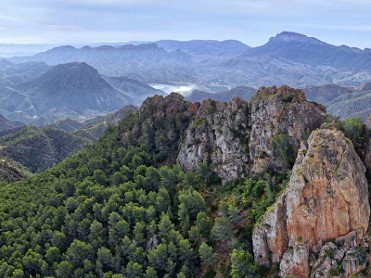 Cresta del Gallo Murcia