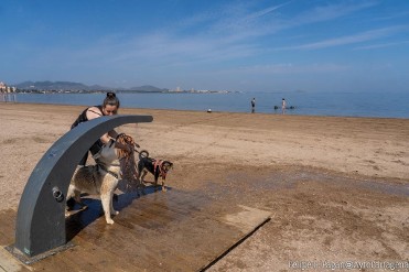 PLAYA CANINA LAS SALINAS (LOS ALEMANES / PLAYA PARAISO)