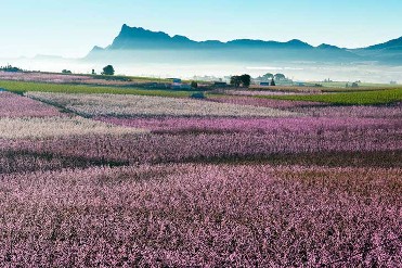 RUTA FLORACI�N LA BRUJILLA