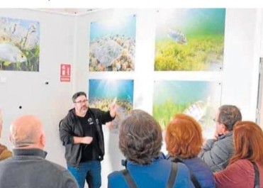 Visitas guiadas a la lonja de pescado de lo pag�n