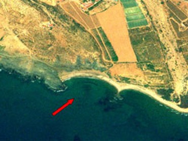 PLAYA DEL BALLENATO