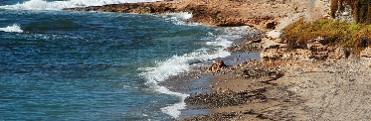 PLAYA DE EL ALAMILLO