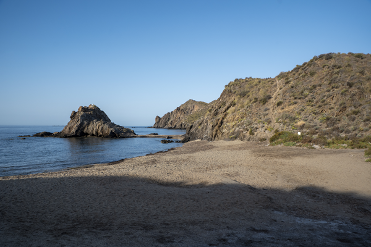 PLAYA DEL PINO