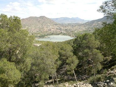 CA�ADA DE MI�ANO - SIERRA DE RICOTE