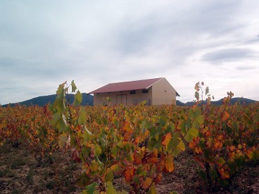 BODEGA MONASTRELL