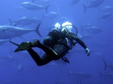 MASMARBUCEO